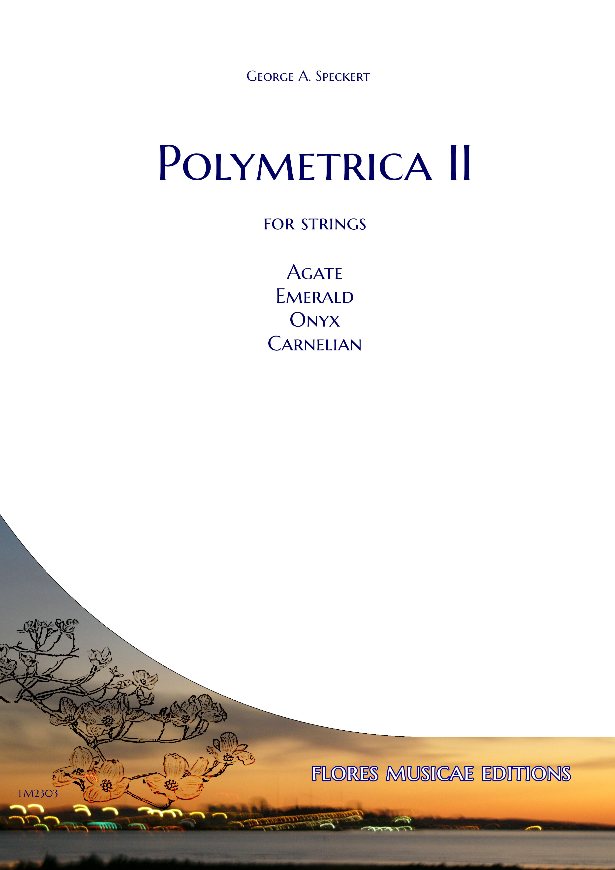 Polymetrica2